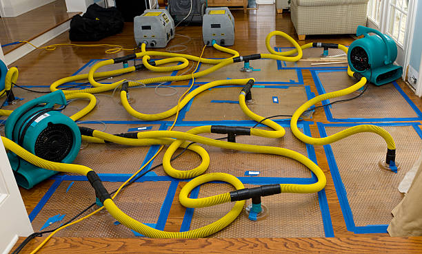 Professional Structural Drying And Dehumidification technician working in Cottonwood, CA